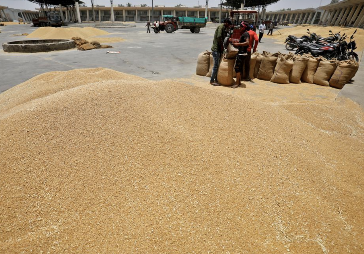 Agri Commodities to Watch in 2025: A Trader’s Perspective!